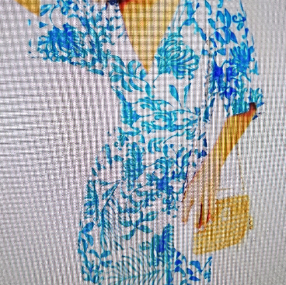 Lilly Pulitzer Blue Floral Long Sleeve Dress